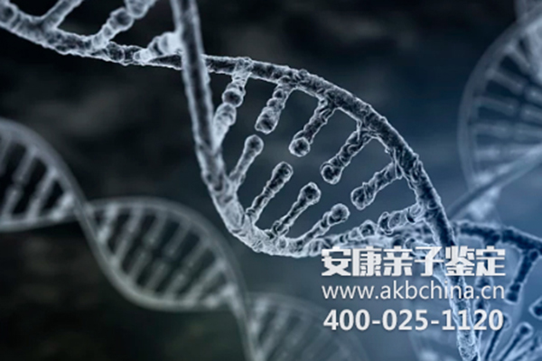 贵州贵州DNA亲子鉴定怎么做？ 