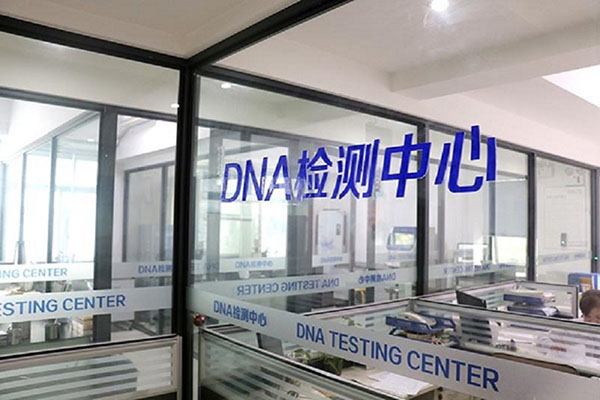贵州DNA检测费用详解（了解不同类型DNA检测的收费方式及价格范围） 